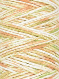 Coastal Cotton Worsted Ocean Mist