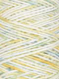 Coastal Cotton Worsted Ocean Mist