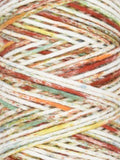 Coastal Cotton Worsted Ocean Mist