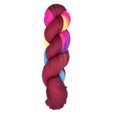 Araucania Huasco Sock Prism Paints