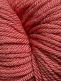 220 Superwash Aran