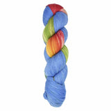 Araucania Huasco Sock Prism Paints