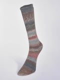 Carnival Socks