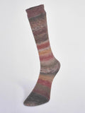 Carnival Socks