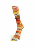 Eclectic Sock