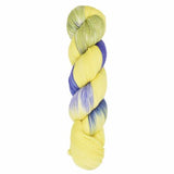 Araucania Huasco Sock Prism Paints - Mad Knitter's Yarn